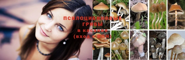 мдма Дмитров