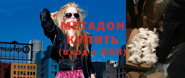 индика Ельня