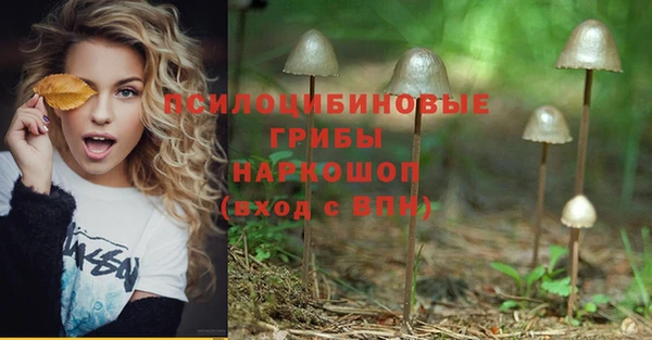 мдма Дмитров