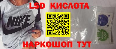 мдпв Кингисепп