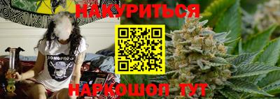 мдпв Кингисепп