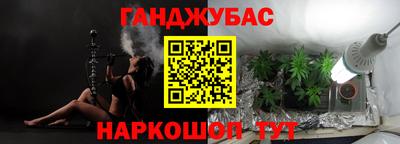 мдпв Кингисепп