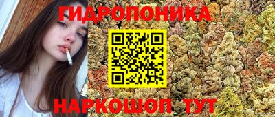 гидропоника Кимры