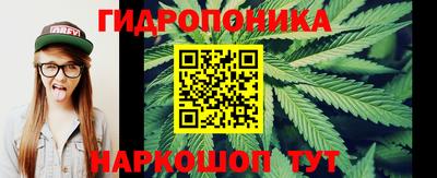 jwh Кинель