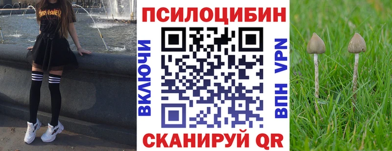 Псилоцибиновые грибы ЛСД  Сальск 