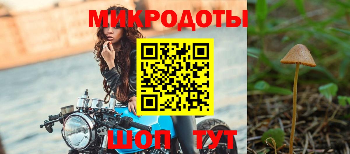 Псилоцибиновые грибы ЛСД  Вход с VPN  хочу наркоту  Сальск 
