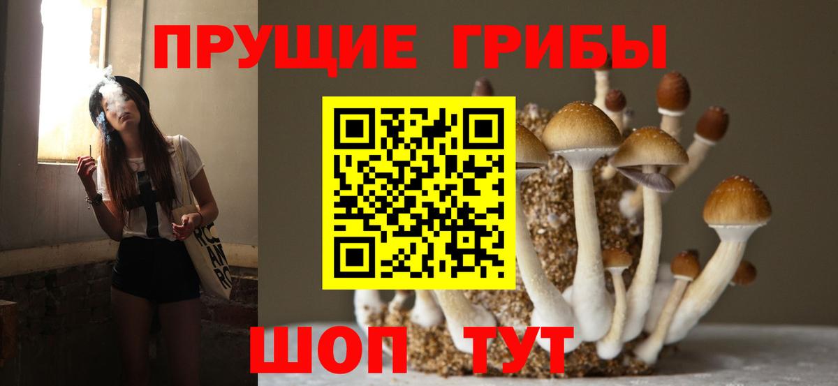 Псилоцибиновые грибы Magic Shrooms Сальск